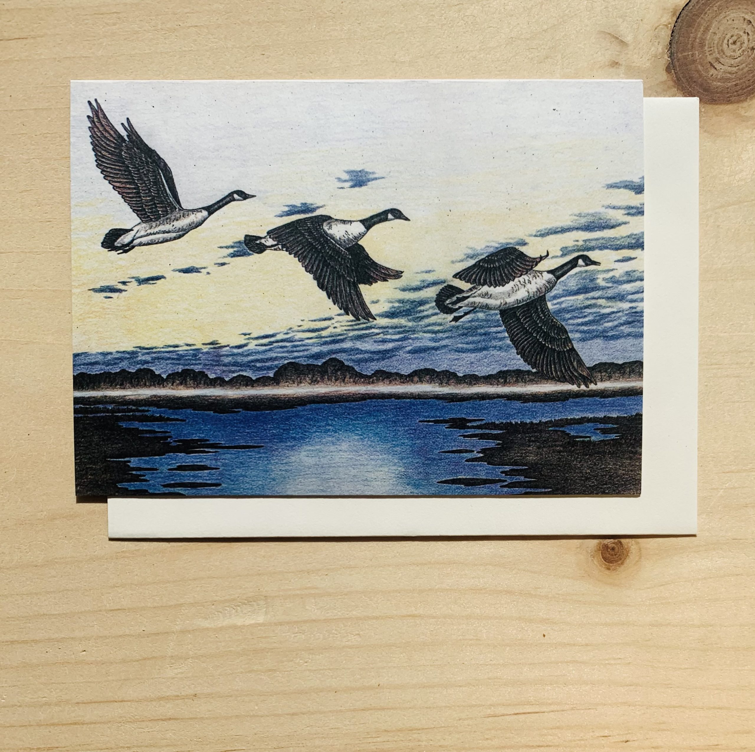 Canada Geese Notecard