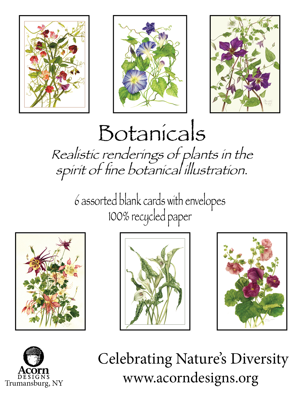 Botanicals Assortment 1 Botanicals Assortment