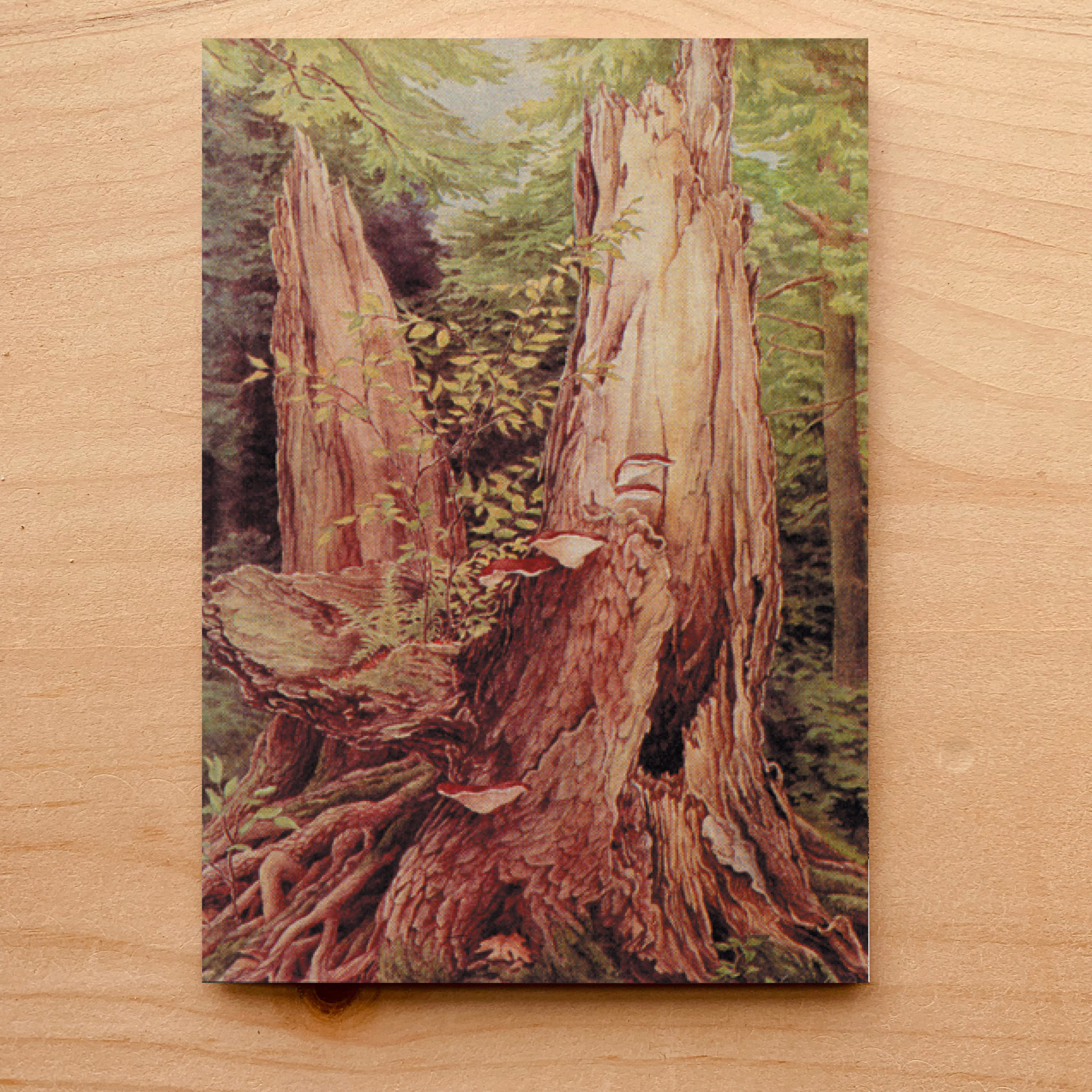 Immortality Notecard