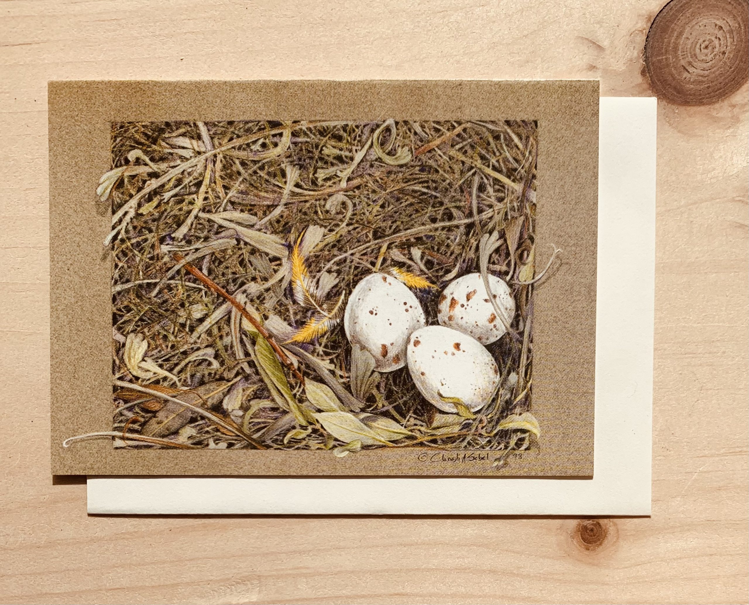 Meadowlark Nest Notecard