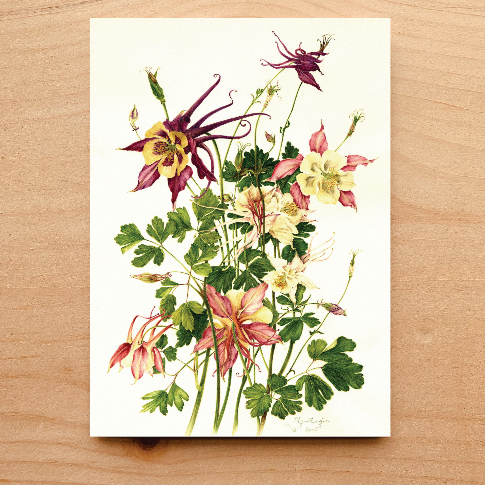 Columbine Notecard 3 Columbine Notecard