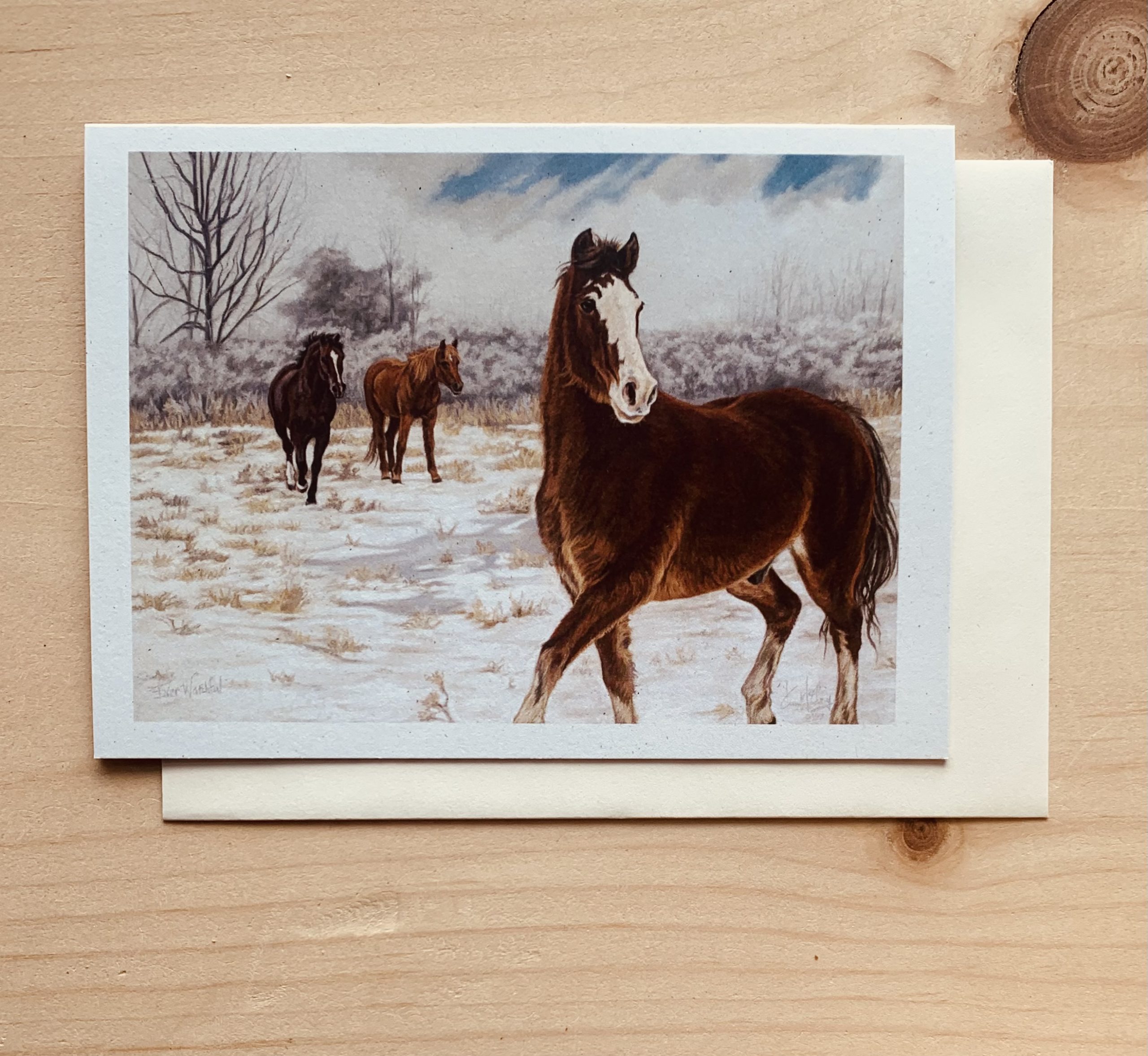 Ever Watchful Notecard