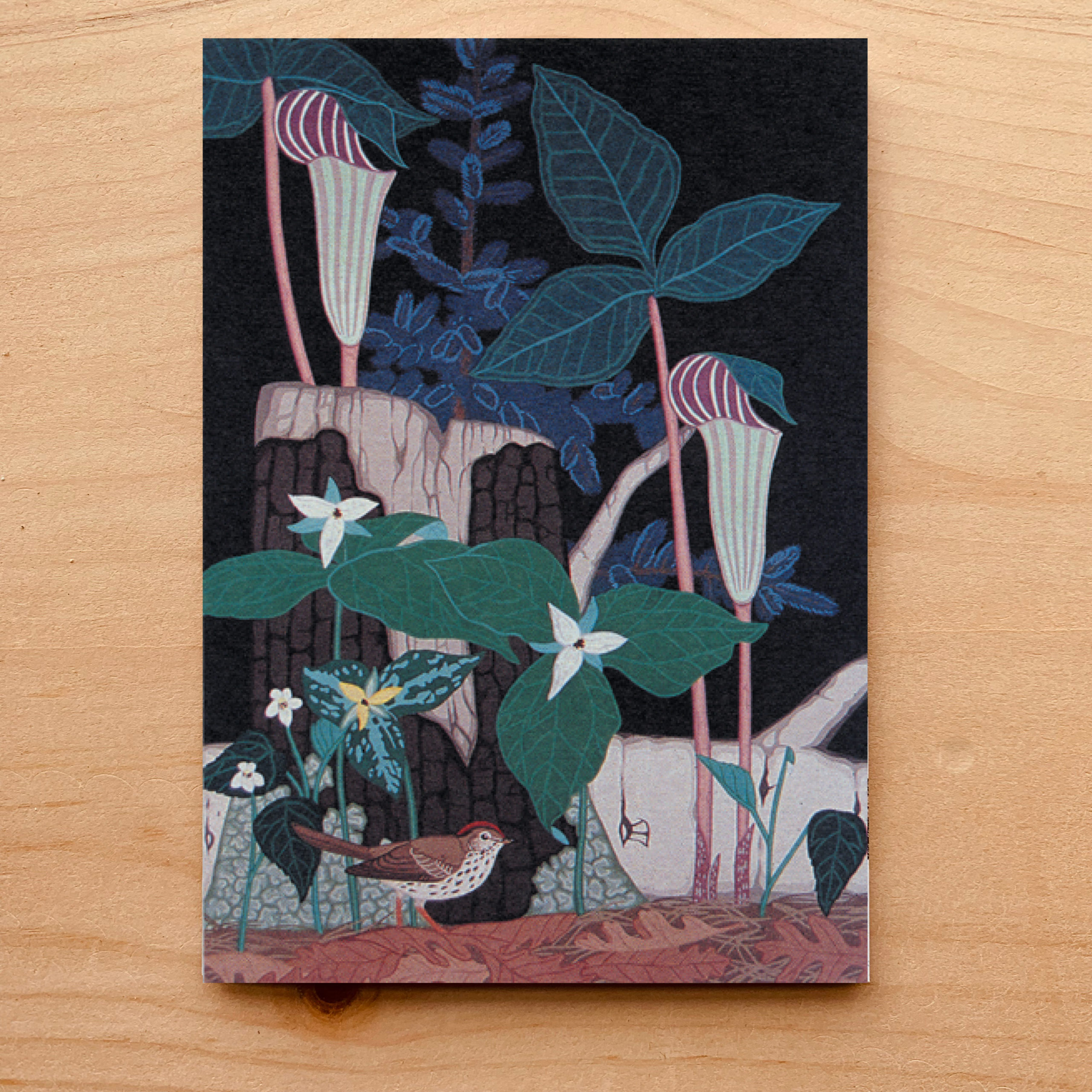 Forest Floor Notecard 2 Forest Floor Notecard