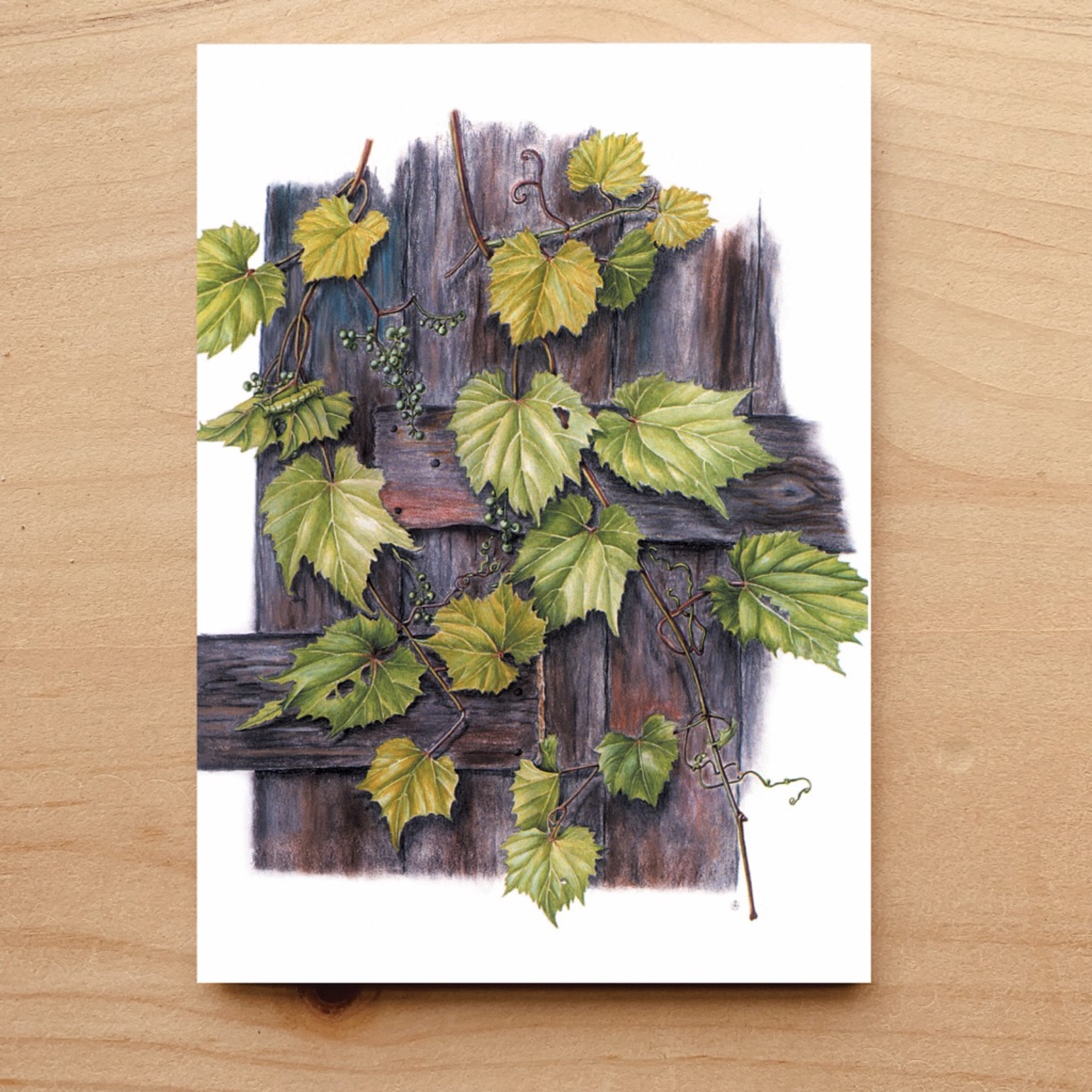Barn Door Notecard