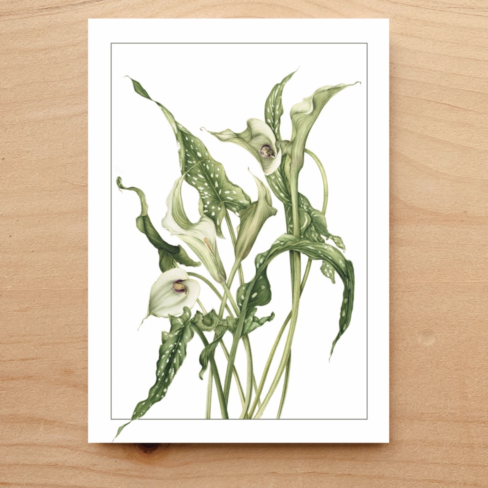 Calla Lily Notecard 2 Calla Lily Notecard