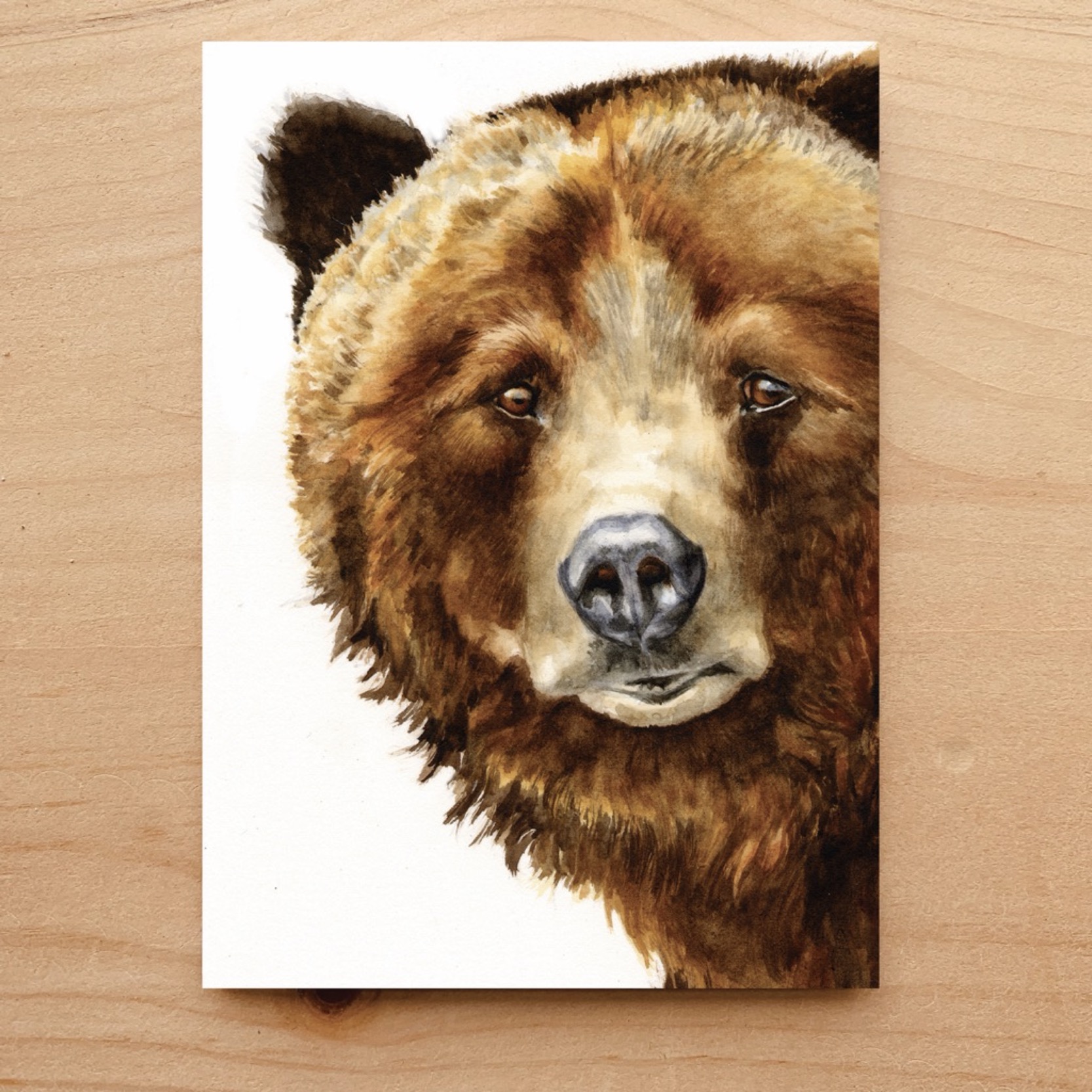 Grizzly Bear Notecard