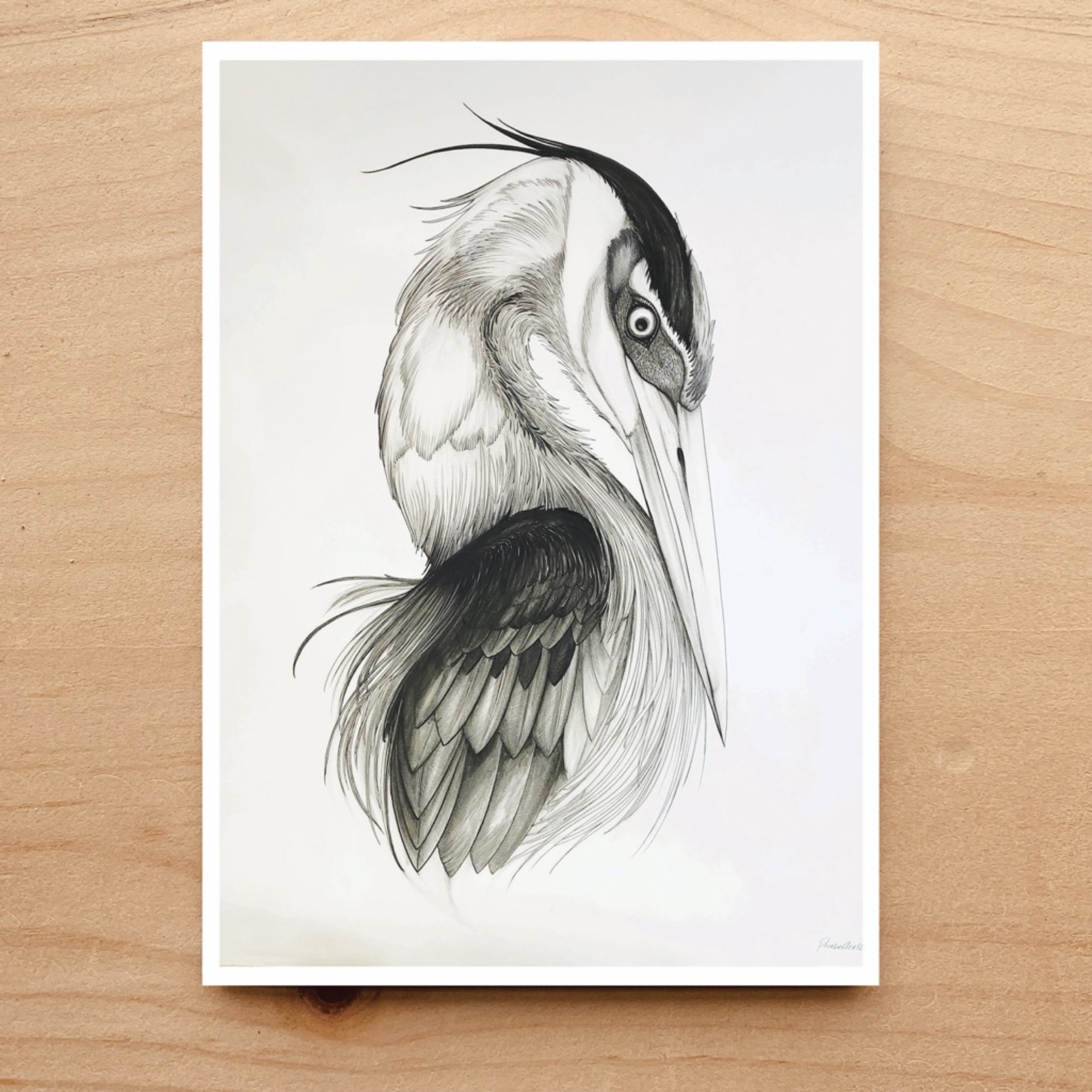 Heron Portrait Notecard