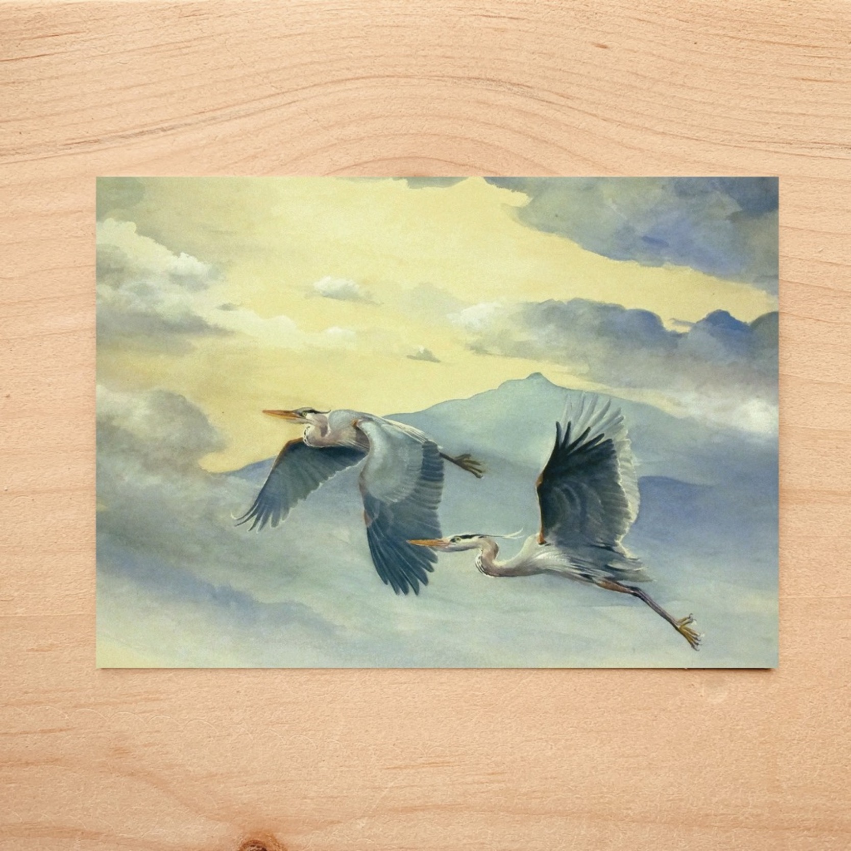 Flying Great Blue Herons Notecard 1 Flying Great Blue Herons Notecard