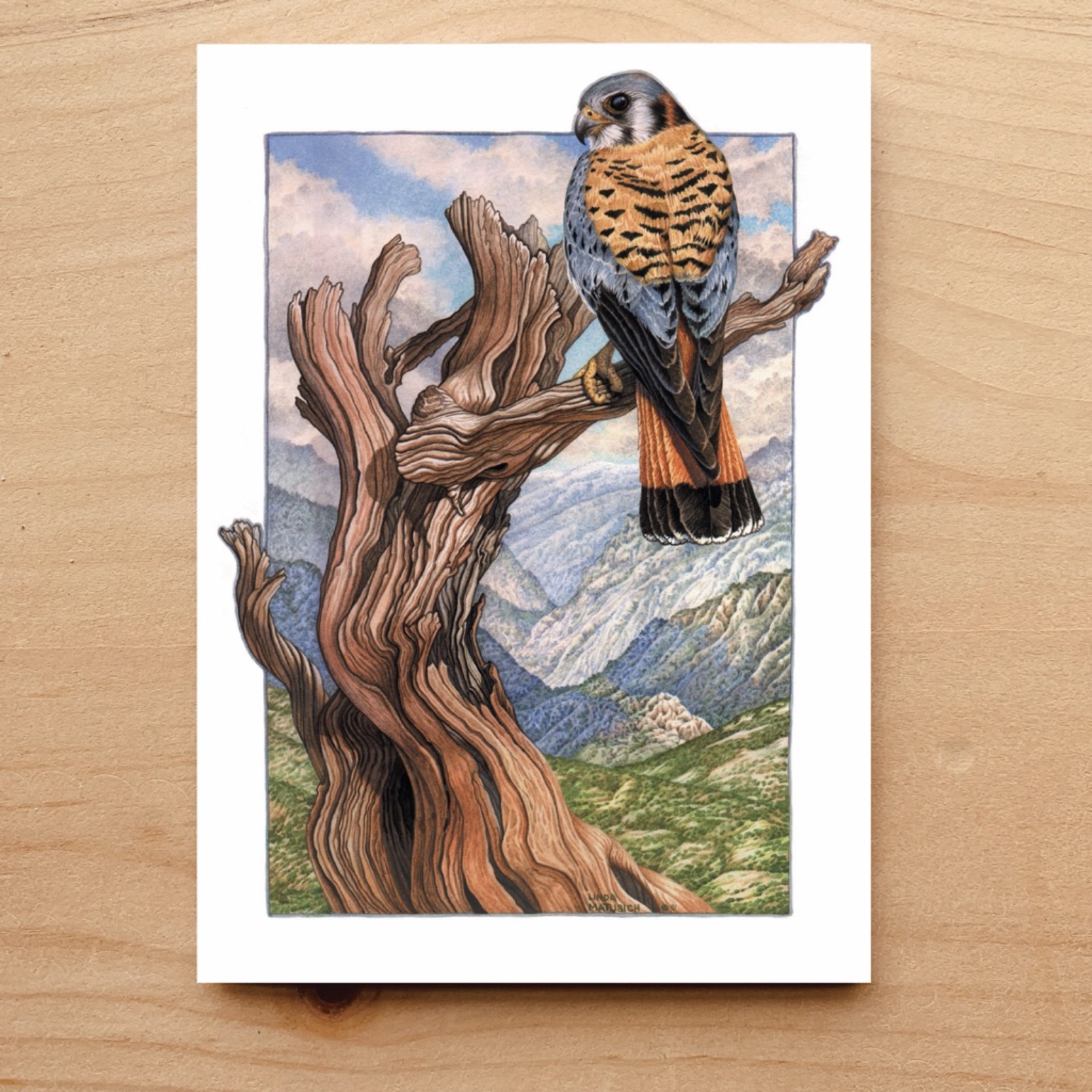 Kestrel Notecard 4 Kestrel Notecard