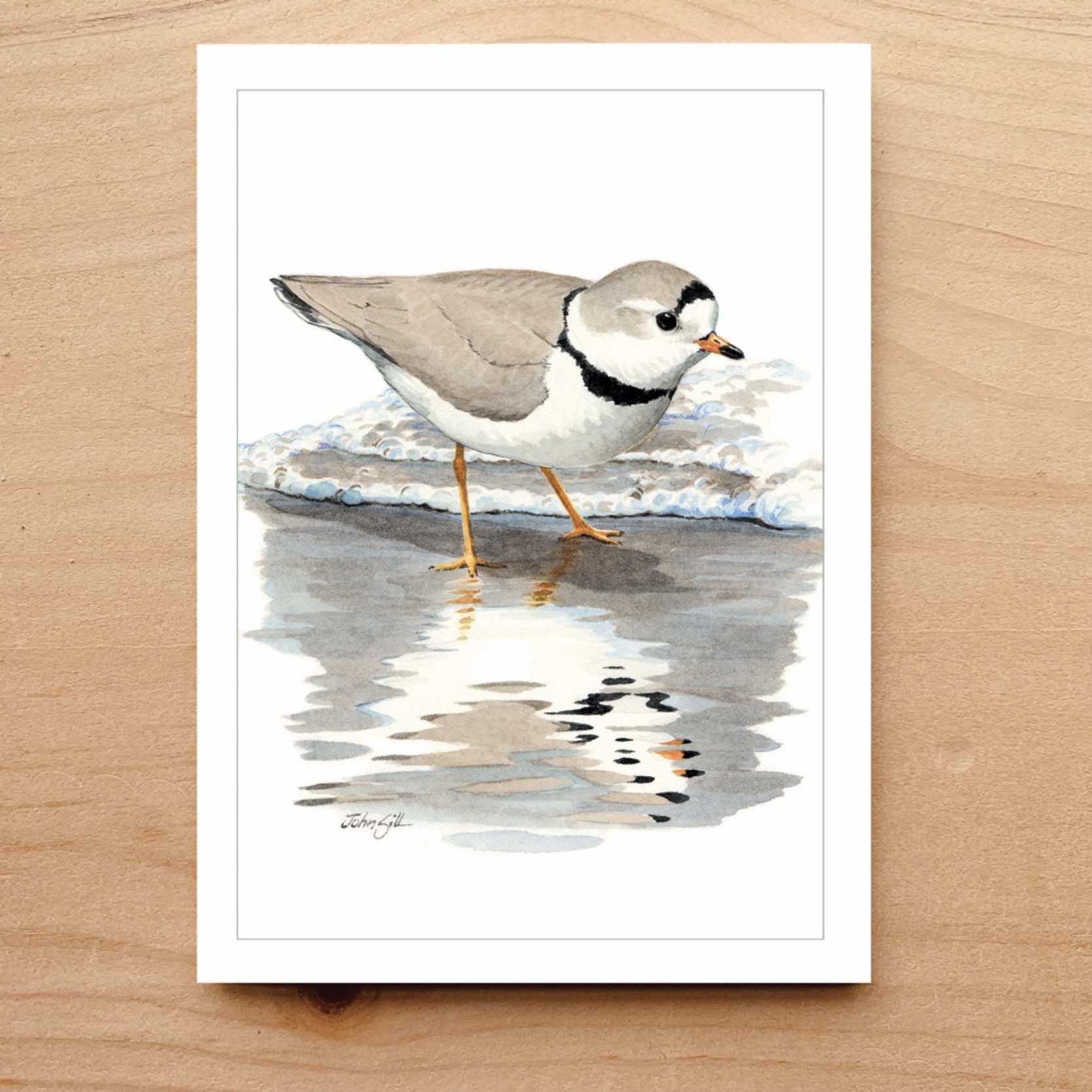 Piping Plover Notecard 7 Piping Plover Notecard