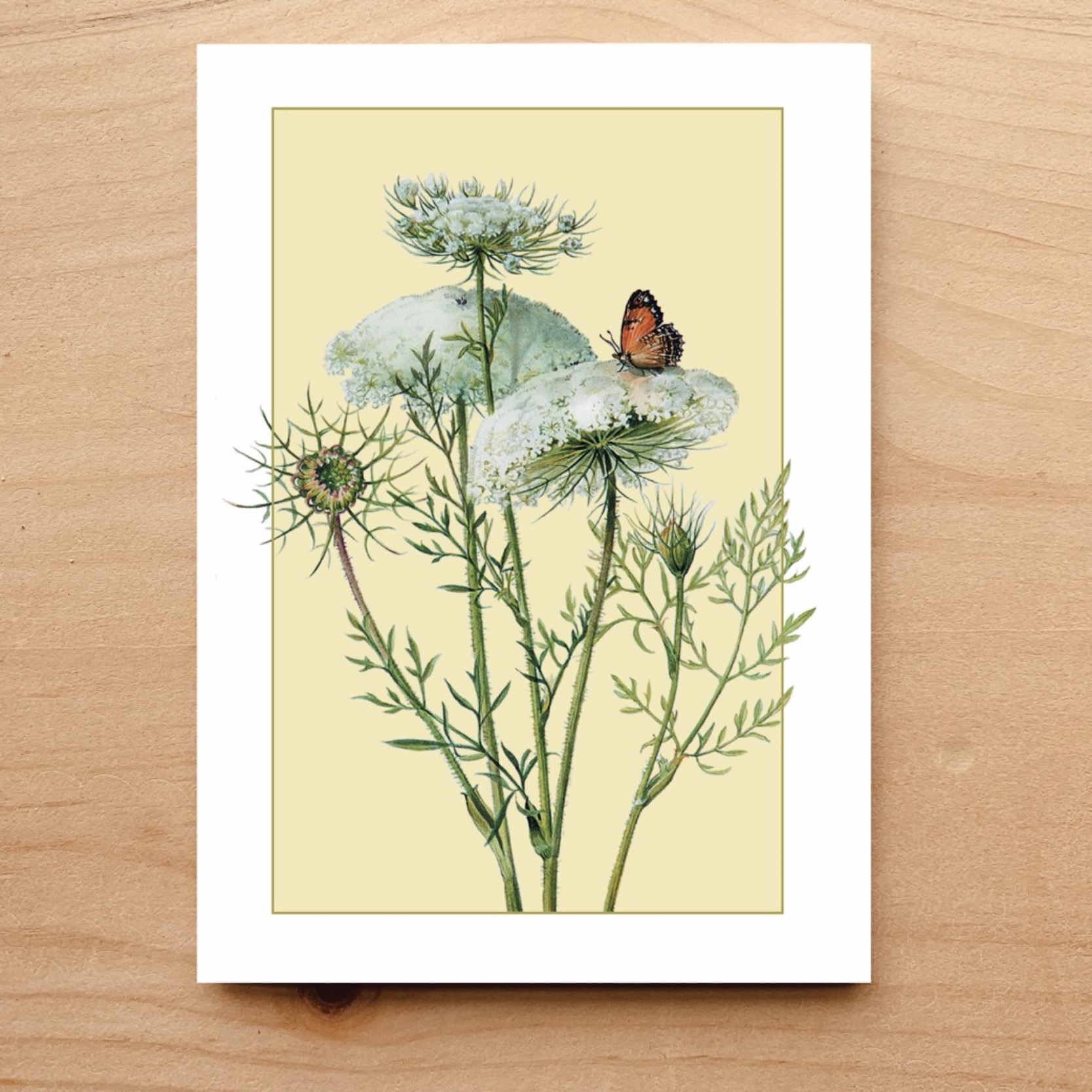 Queen Anne's Lace Notecard 3 Queen Anne’s Lace Notecard
