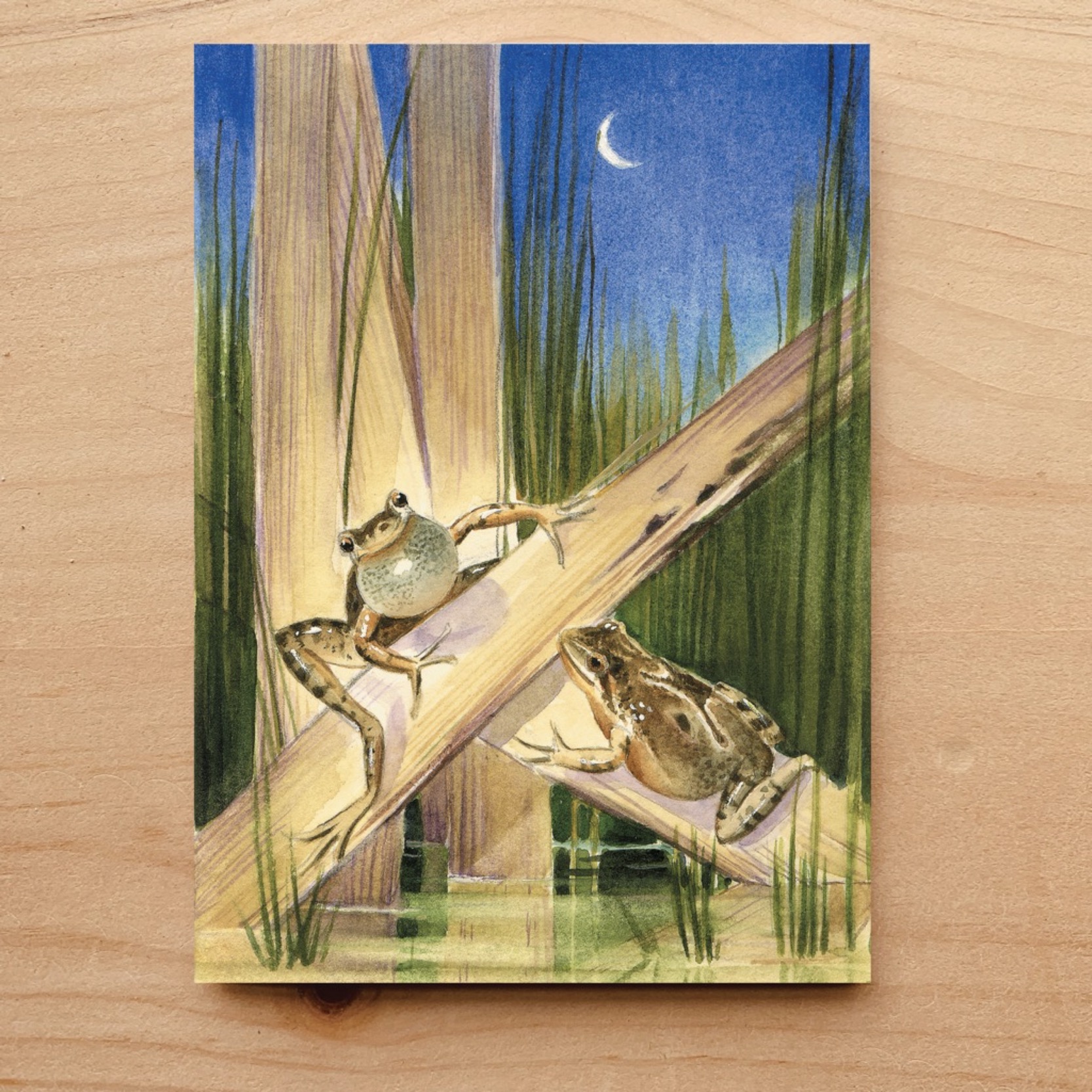 Spring Peepers Notecard Acorn Designs