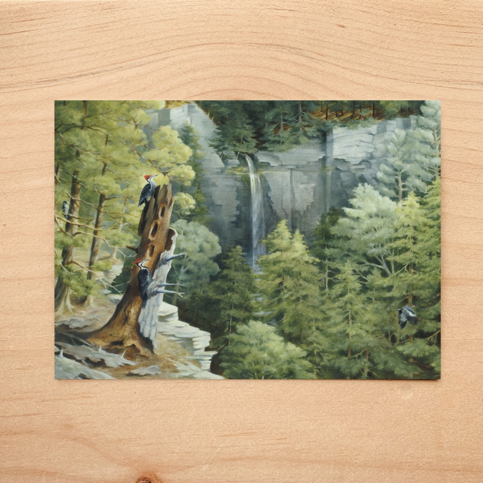 Wild Waterfall Notecard 7 Wild Waterfall Notecard